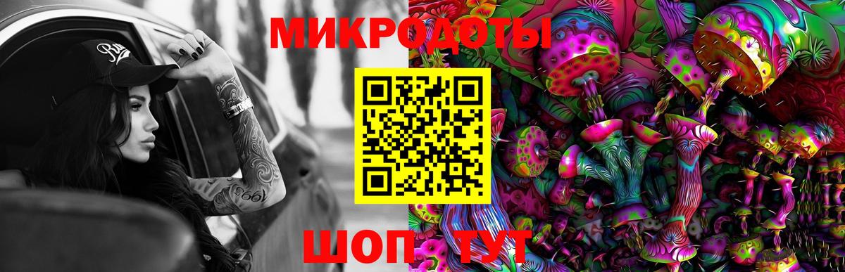 Псилоцибиновые грибы Psilocybe  Вход с VPN  Александров  Псилоцибиновые грибы Psilocybe 